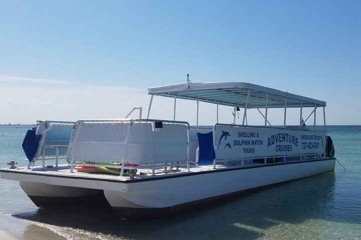 Dolphin /Shelling/Snorkeling tours Private Charters - Photo 1 of 4